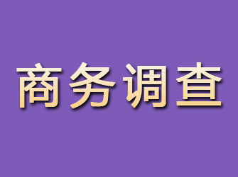 临颍商务调查