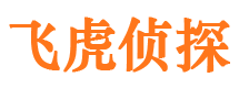 临颍市场调查